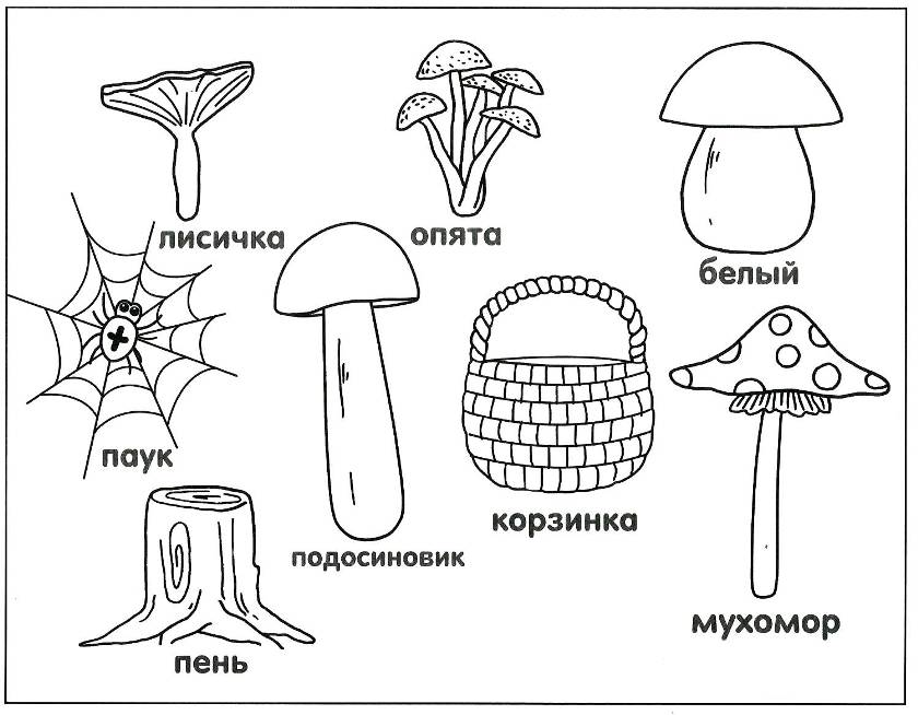 Составить рассказ со словами молоко кот сосиски масло сумка мама