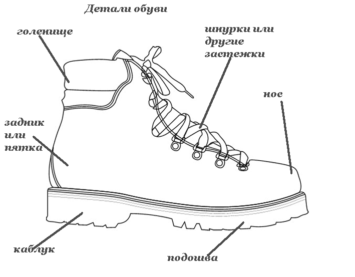 Части обуви как называются